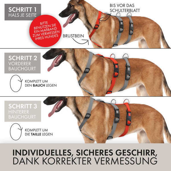 Greyhound Safe it  Hunde Sicherheitsgeschirr