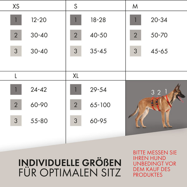 Greyhound Safe it  Hunde Sicherheitsgeschirr