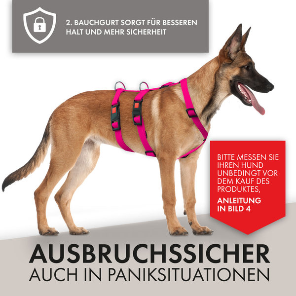 Hunde Sicherheitsgeschirr gepolstert Greyhound Safe it